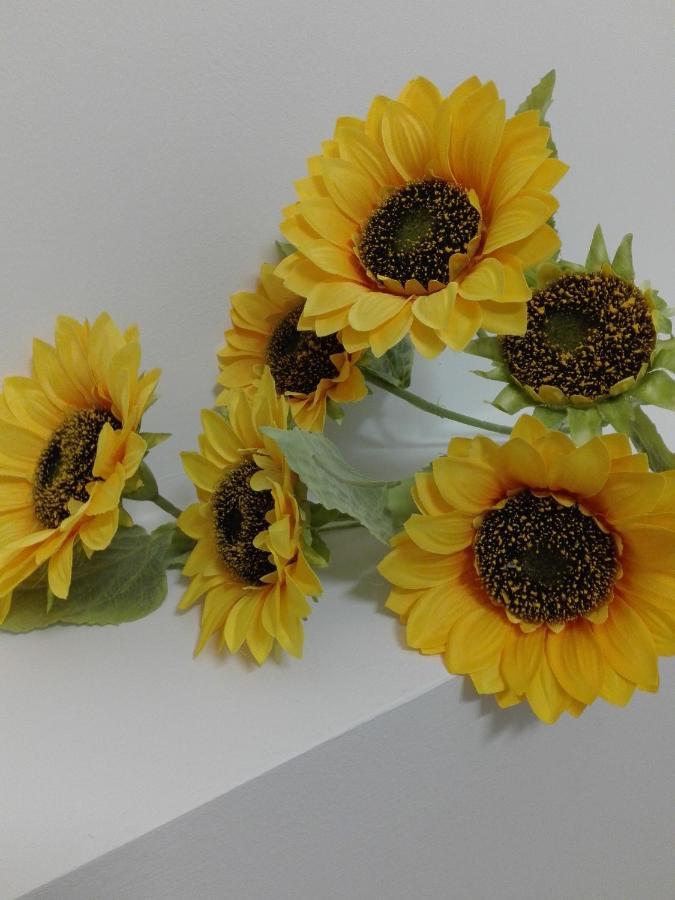 Girasole Grazioli 47 Panzió Trento Kültér fotó